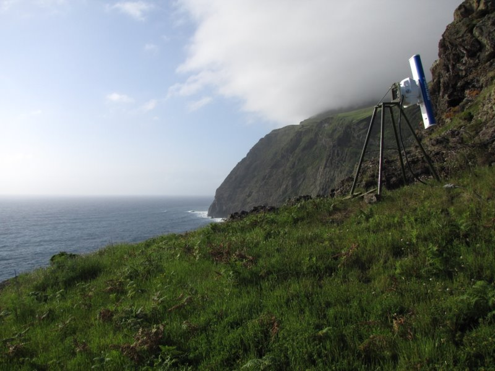 Radar Ornithology Study of Seabirds at Corvo Island